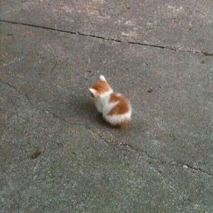 Meet your Posher, Janine